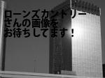 和歌山市のローンズカントリー