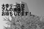 和歌山市の大幸リース店